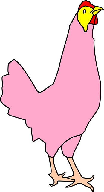 Free chicken hen poultry vector