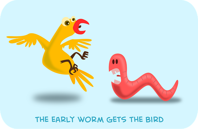 Free bird early eating vector