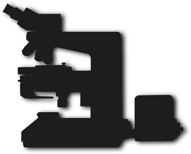Free microscope magnifying slide vector
