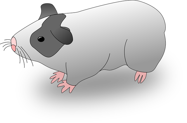 Free pigs animals piglets illustration