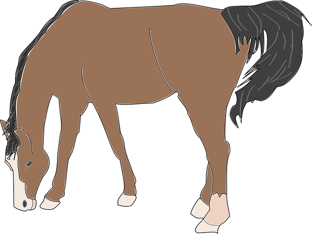 Free horse brown animal vector