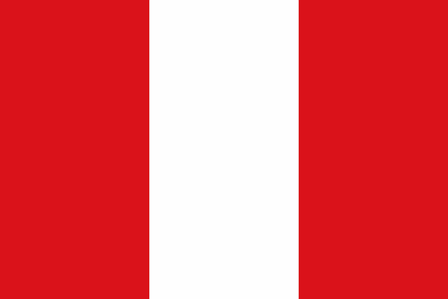 Free flag mons city vector