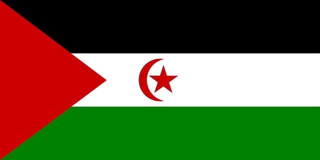 Free flag western sahara vector