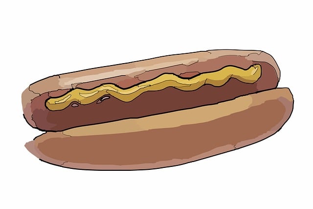 Free sandwich hot dog vector
