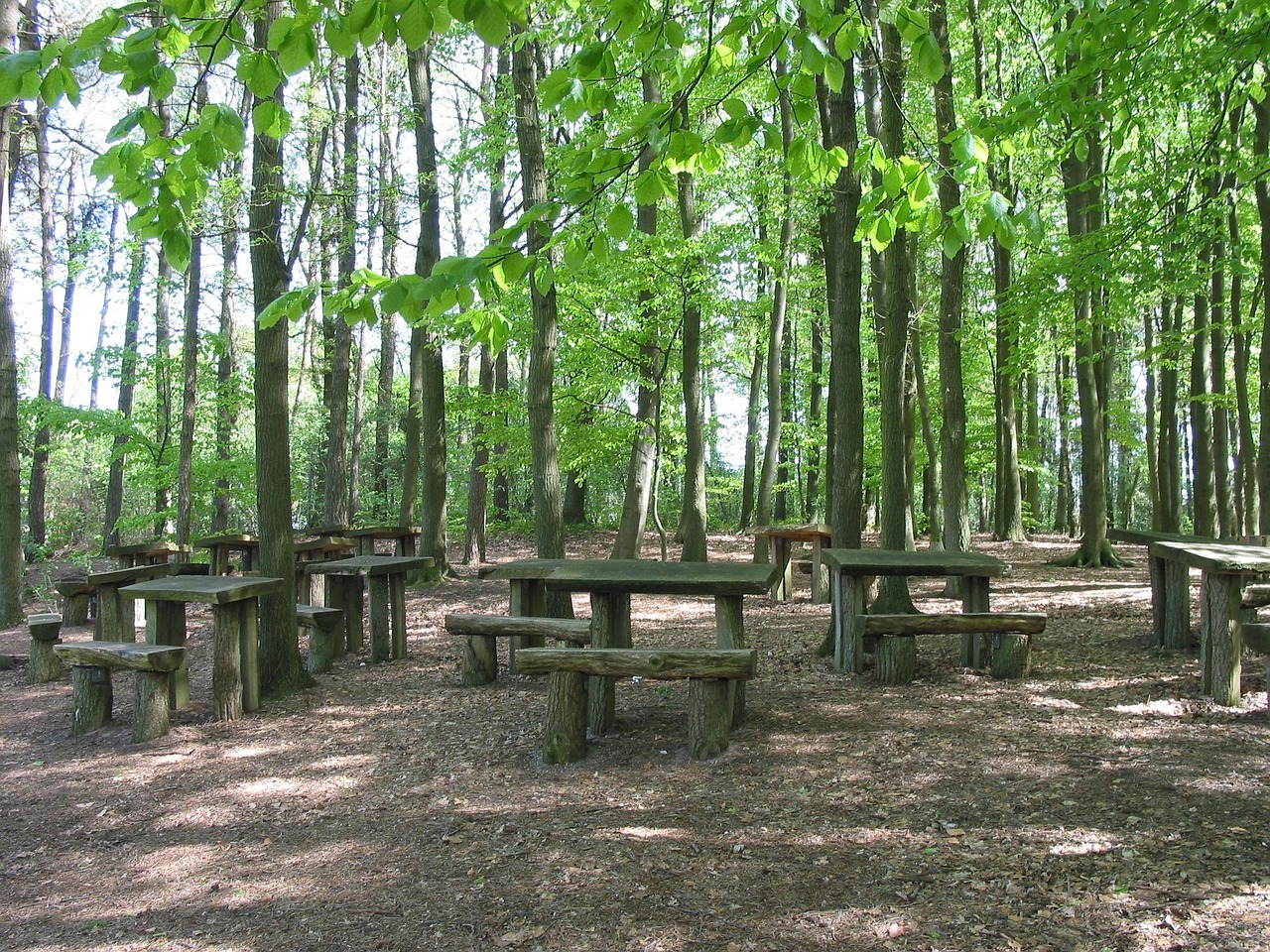 Forest Benches Green Rabbit - Free photo on Pixabay - Pixabay