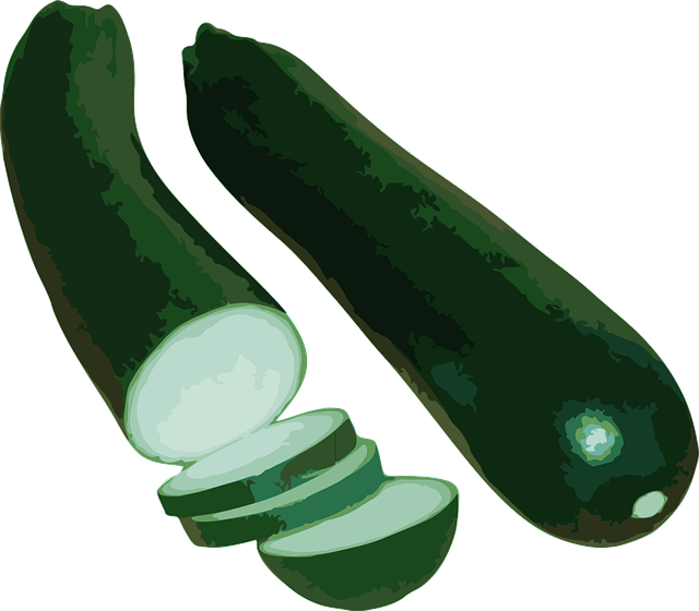 Free zucchini squash vegetable illustration