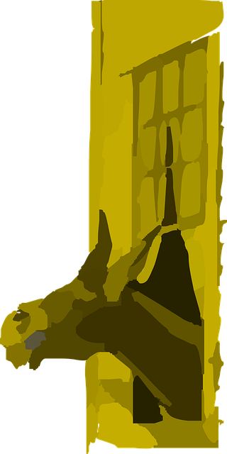 Free Donkey Window vector and picture