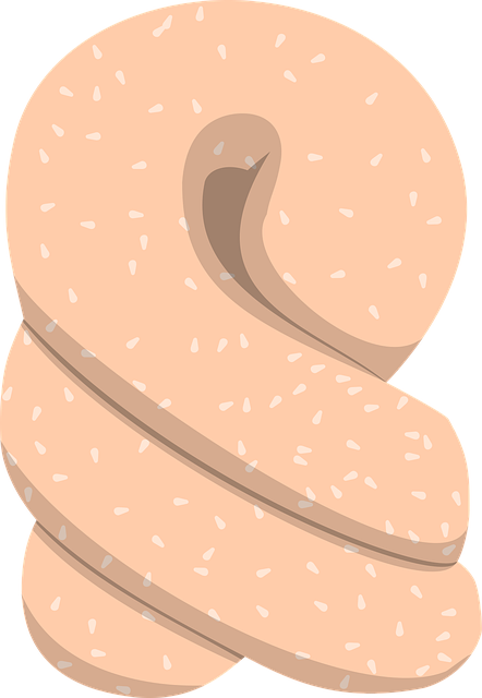 Free pretzel twisted dough illustration
