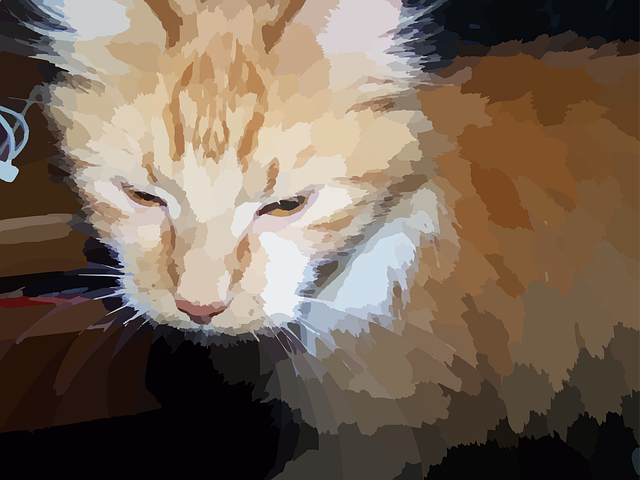Free cat animal kitty vector