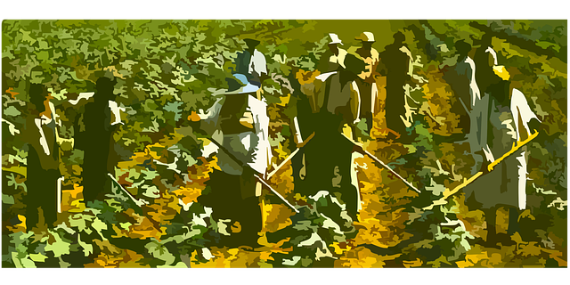 Free farming field workers vector