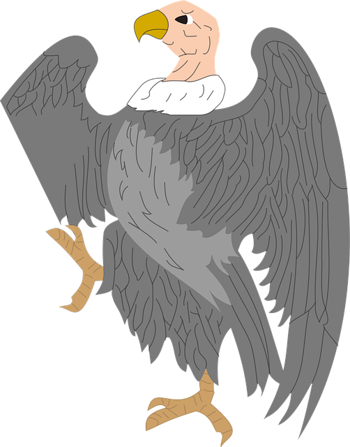 Free vulture scavenger creature vector