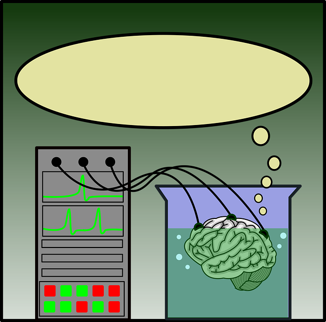 Schablone, Gehirn, Ideen, Experiment