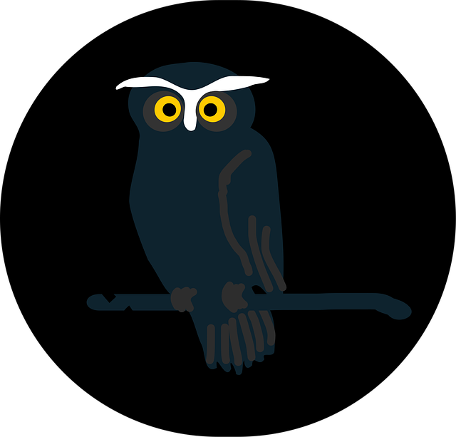 Free owl dark black vector