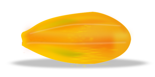 Papaye, Fruit, Tranche, Aliments
