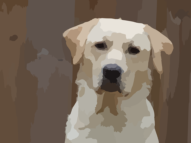 Free dog puppy animal vector