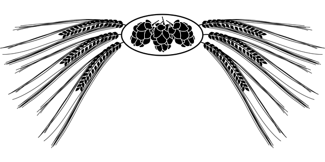 Free grain barley hops vector