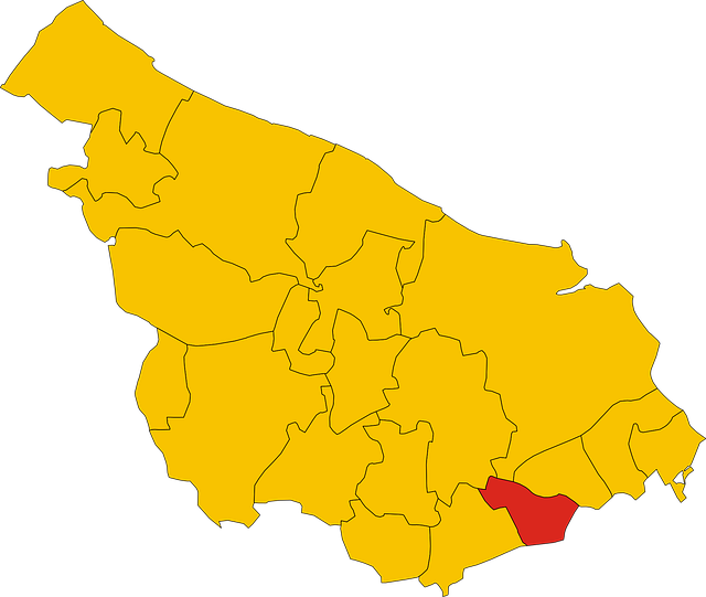 Free map italy san vector