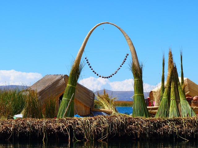 Tatora Reed Reed Totora Island - Free photo on Pixabay