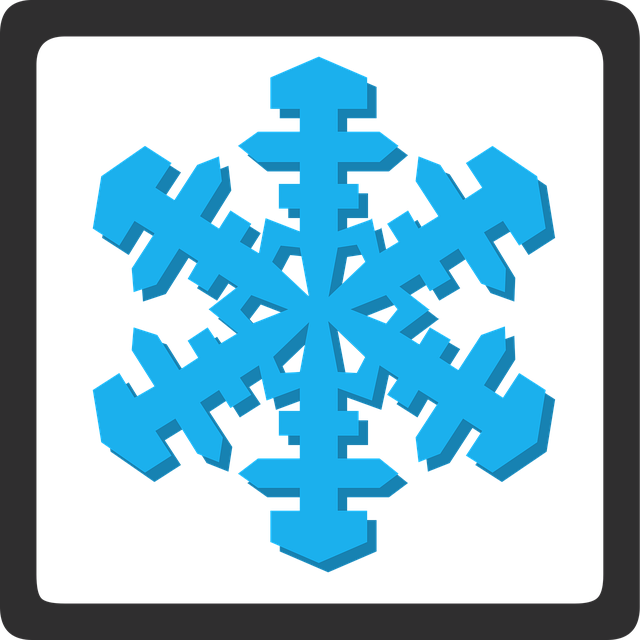 Free snow flake sign vector
