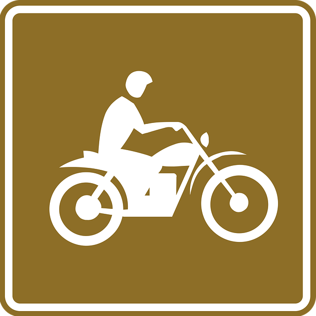 Free ride road information vector