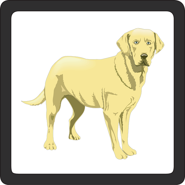 Free dogs allowed pets illustration