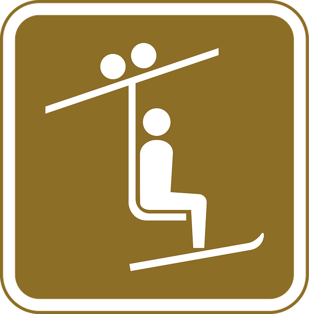 Free recreation information ski vector