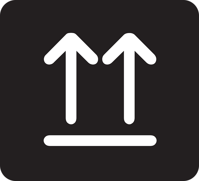 Free storage information right vector