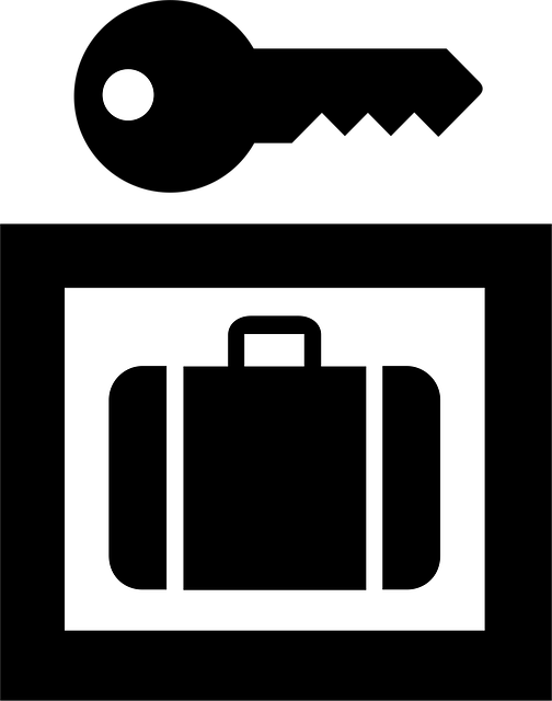 Download free HD stock image of Storage Information Free storage information baggage vector