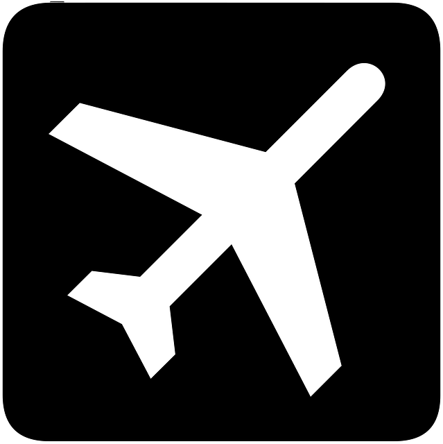 Free information flights departing vector