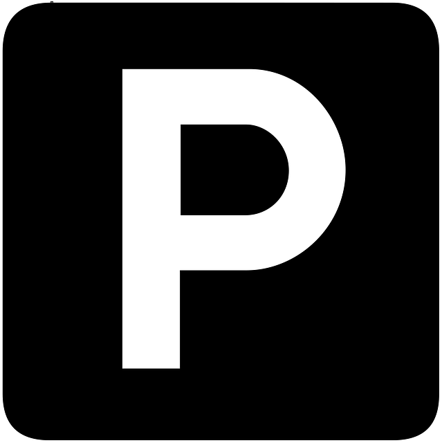 Free parking lot information vector