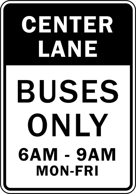 Free only lane buses illustration