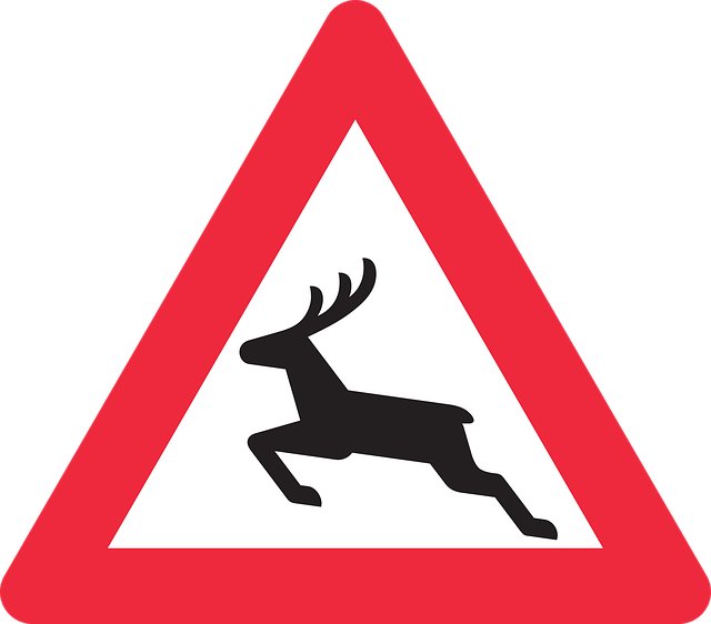 Free deer triangle road vector