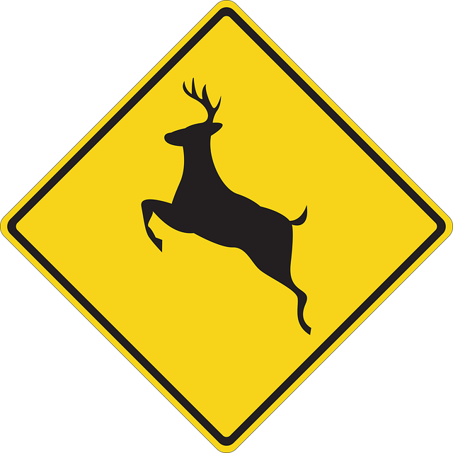 Free deer information warning illustration