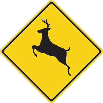 Cervo, Informazione, Natura