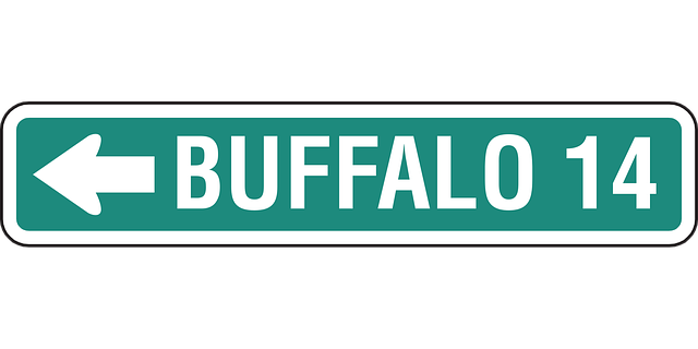 Free buffalo ahead 14 miles vector