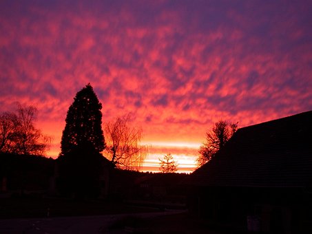 Free Tomorrow Dawn photo and picture