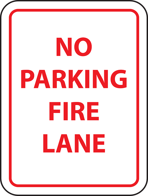 Free park information fire vector
