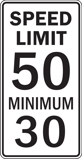 Free car road information vector