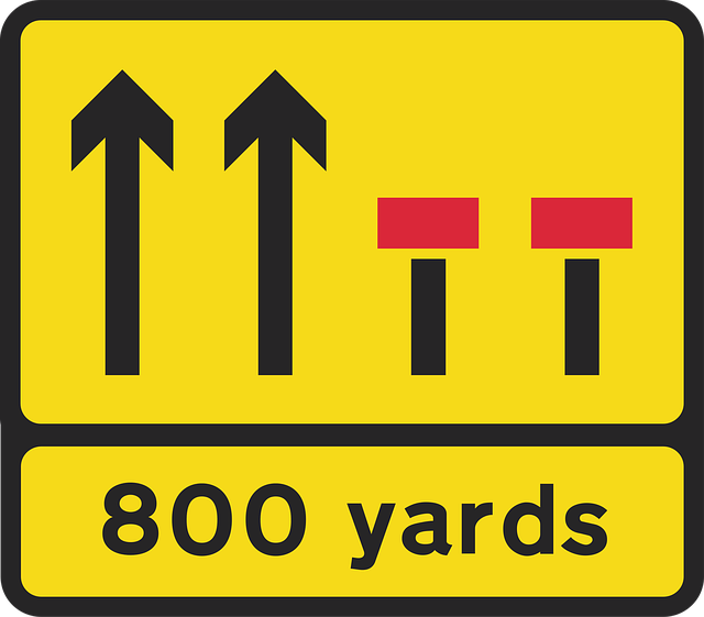 Free drive car lane vector