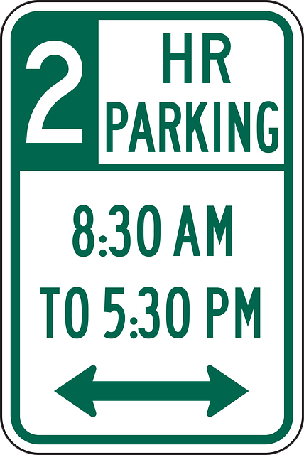 Free drive car information vector
