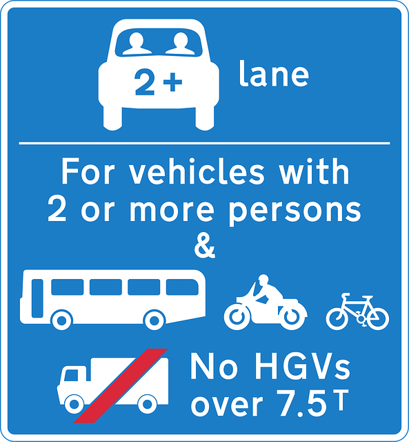 Free car bus transportation vector
