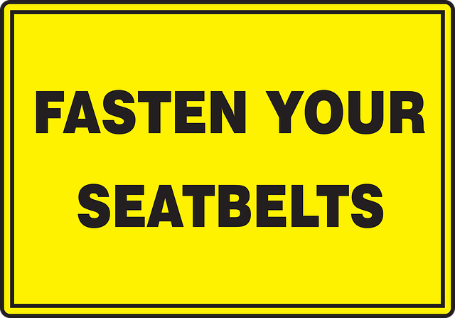 Free reminder driving caution vector