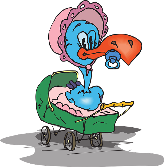 Free baby bird carriage vector