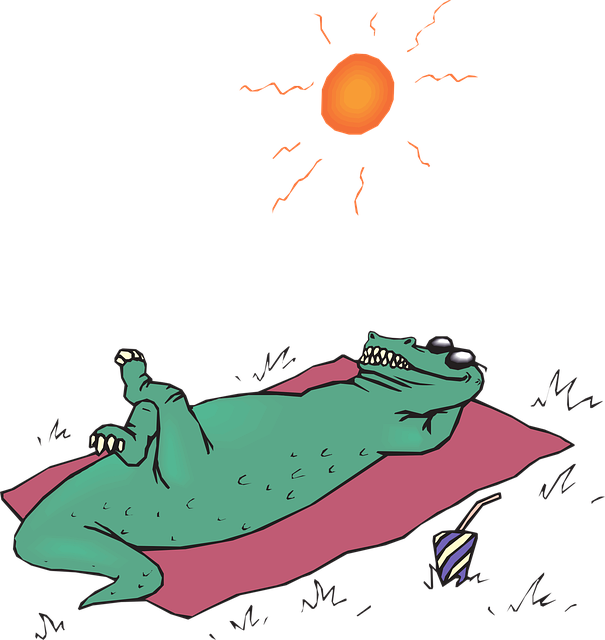 Free alligator sunbathe sun vector