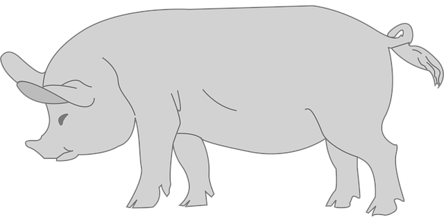 Free pig animal tail vector