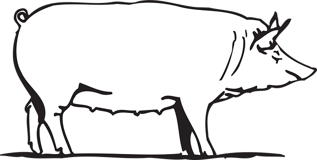 Free Farm Nature vector and picture