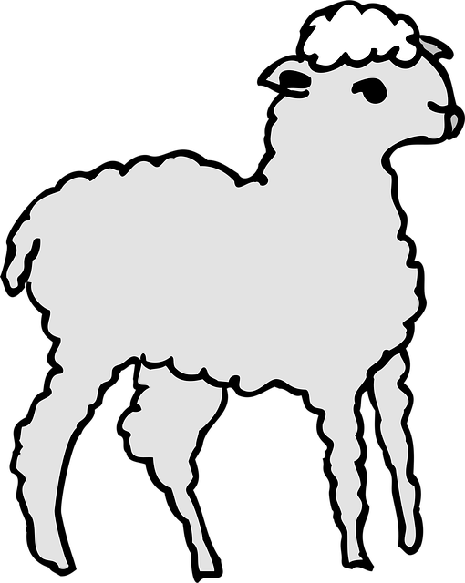 Grau, Natur, Stehen, Lamm, Tier