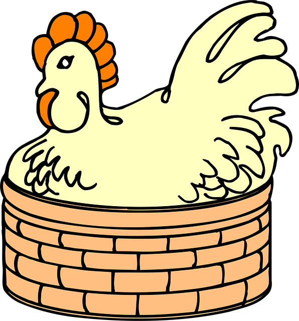 Free hen farm chicken vector