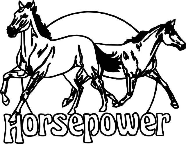 Free horses horsepower animals vector