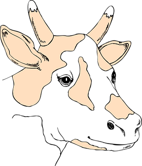 30+ Free Cow Head &amp; Cow Vectors - Pixabay